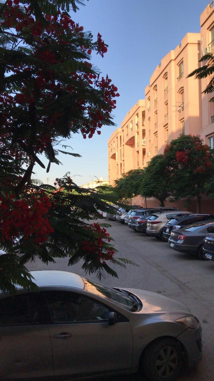 Elrehab Cairo